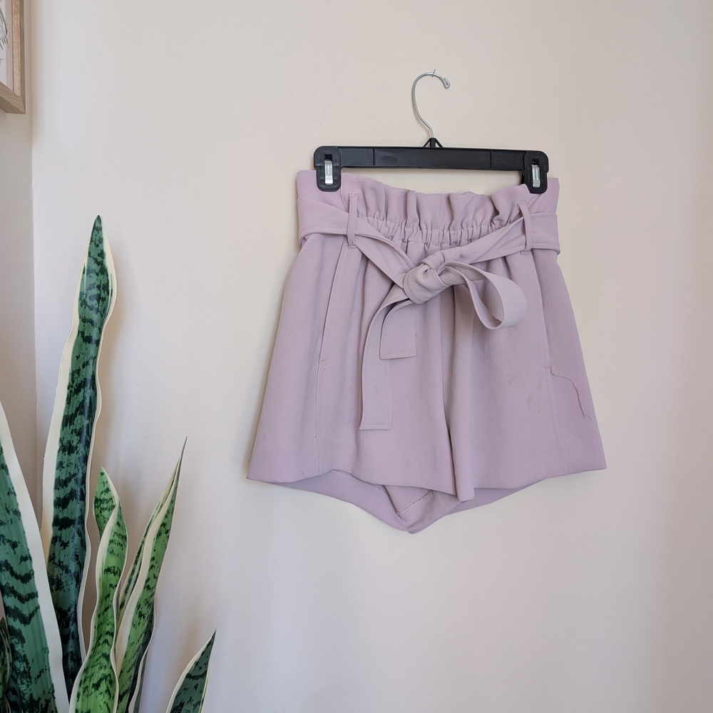 Aritzia High-Waisted Lavender Shorts